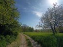 Direction la Petite Saline
